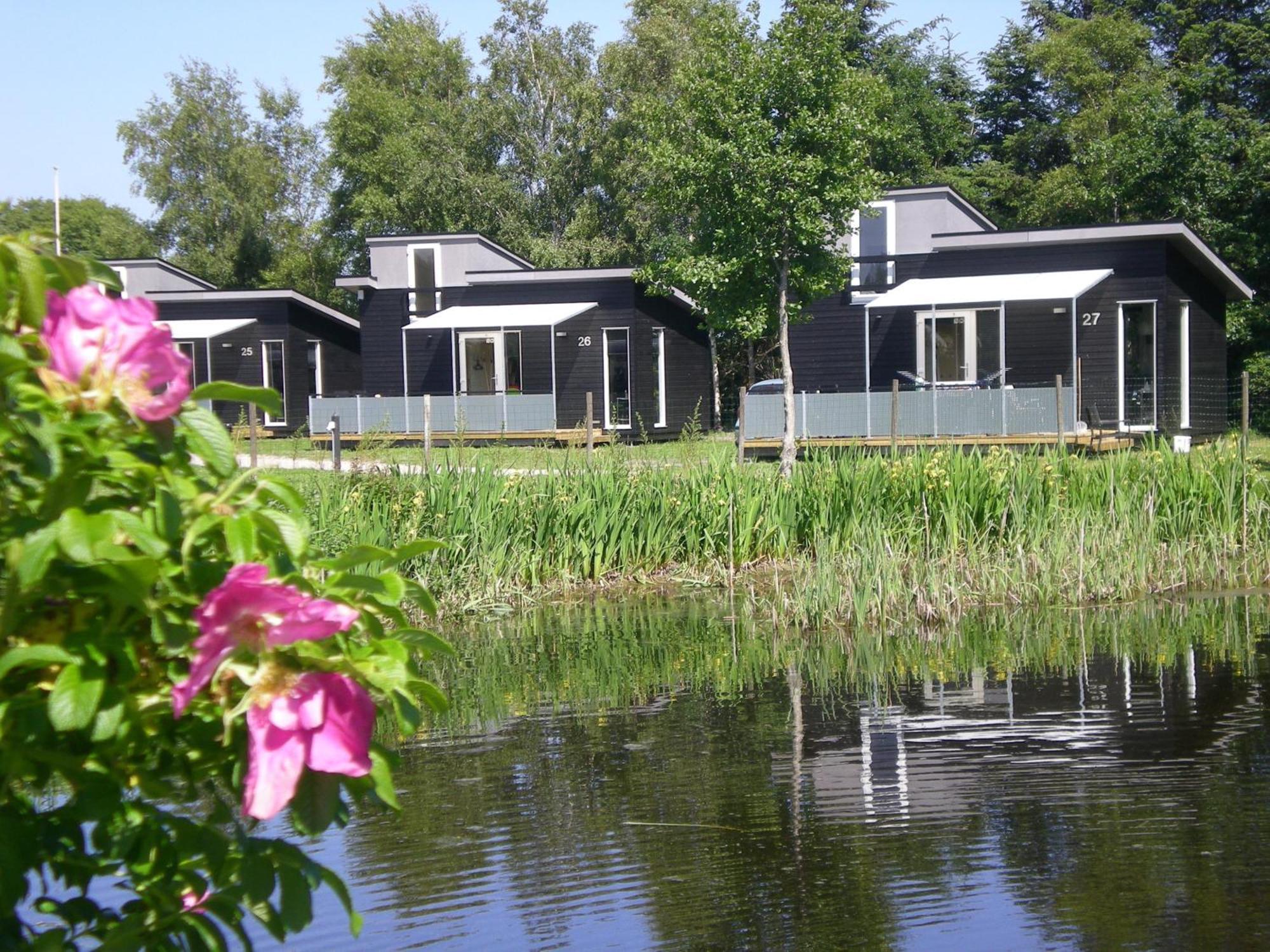 Asaa Camping & Cottages Room photo